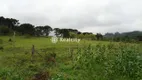 Foto 9 de Lote/Terreno à venda, 90000m² em Vale dos Vinhedos, Bento Gonçalves