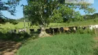 Foto 86 de Fazenda/Sítio com 9 Quartos à venda, 800m² em Zona Rural, Arapeí