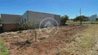 Foto 3 de Lote/Terreno à venda, 264m² em Centro, Sabáudia