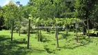 Foto 12 de Fazenda/Sítio com 3 Quartos à venda, 6000m² em Papucaia, Cachoeiras de Macacu