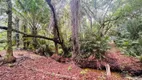 Foto 16 de Lote/Terreno à venda, 20000m² em Centro, Ilhéus