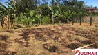 Foto 3 de Fazenda/Sítio com 2 Quartos à venda, 2000m² em Oliveiras, Tijucas