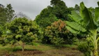 Foto 7 de Fazenda/Sítio à venda, 20000m² em Jardim Primavera II, Sete Lagoas