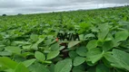 Foto 7 de Fazenda/Sítio à venda, 18972800m² em Centro, Niquelândia