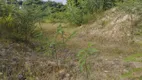 Foto 8 de Fazenda/Sítio à venda, 3000m² em Niteroi, Atilio Vivacqua