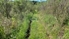 Foto 7 de Fazenda/Sítio com 1 Quarto à venda, 30000m² em , Monte Belo do Sul