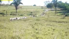 Foto 63 de Fazenda/Sítio com 3 Quartos à venda, 977000m² em Zona Rural, Nova Crixás