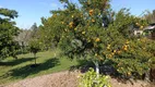 Foto 4 de Fazenda/Sítio com 3 Quartos à venda, 9944m² em Parque Eldorado, Eldorado do Sul