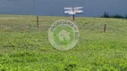 Foto 5 de Lote/Terreno à venda, 1265m² em Barra da Tijuca, Rio de Janeiro