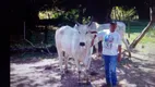 Foto 18 de Fazenda/Sítio com 2 Quartos à venda, 532000m² em Zona Rural, Cambuí