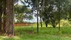 Foto 3 de Fazenda/Sítio com 3 Quartos à venda, 60m² em Panorama, Uberlândia