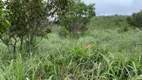 Foto 16 de Fazenda/Sítio com 2 Quartos à venda, 280000m² em Zona Rural, Padre Bernardo