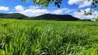 Foto 19 de Fazenda/Sítio com 2 Quartos à venda, 720000m² em Zona Rural, Francisco Sá