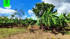 Foto 21 de Fazenda/Sítio com 4 Quartos à venda, 5000m² em Centro, Cristais Paulista