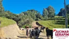 Foto 4 de Fazenda/Sítio com 1 Quarto à venda, 20000m² em , Rio Rufino