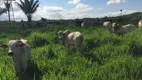 Foto 5 de Fazenda/Sítio à venda, 250000m² em Centro, Cumaru do Norte