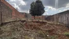 Foto 6 de Lote/Terreno à venda, 420m² em Universitário, Cascavel