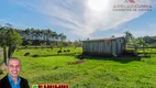Foto 38 de Fazenda/Sítio com 2 Quartos à venda, 120m² em Campo da Brazina, Araricá
