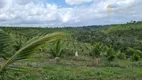 Foto 2 de Fazenda/Sítio com 4 Quartos à venda, 900000m² em Centro, Valença