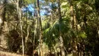 Foto 30 de Lote/Terreno à venda, 10000m² em Visconde de Mauá, Resende