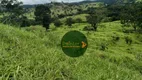 Foto 16 de Fazenda/Sítio à venda, 1694000m² em Zona Rural, Carmo do Rio Verde