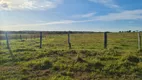 Foto 10 de Fazenda/Sítio com 1 Quarto à venda, 3720000m² em Zona Rural, Terenos