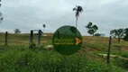 Foto 16 de Fazenda/Sítio à venda, 20812000m² em Zona Rural, Rubiataba