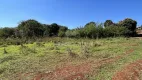 Foto 7 de Lote/Terreno à venda, 10550m² em , Paiçandu