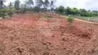 Foto 13 de Fazenda/Sítio à venda, 4200m² em Taiacupeba, Mogi das Cruzes