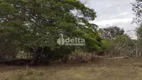Foto 16 de Fazenda/Sítio com 1 Quarto à venda, 48000m² em Segismundo Pereira, Uberlândia