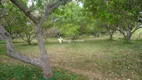 Foto 23 de Fazenda/Sítio com 2 Quartos à venda, 110000m² em  Zona Rural, Teresina