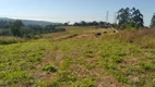 Foto 5 de Lote/Terreno à venda, 600m² em Caucaia do Alto, Cotia