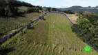 Foto 15 de Fazenda/Sítio à venda, 70000m² em Zona Rural, Monte Belo do Sul