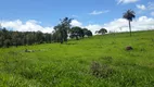 Foto 13 de Fazenda/Sítio à venda, 20000m² em Zona Rural, Caeté