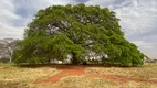 Foto 61 de Lote/Terreno à venda, 2237m² em Zona Rural, Santo Antônio de Goiás