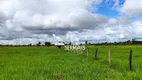 Foto 2 de Fazenda/Sítio com 3 Quartos à venda, 290400m² em , Itapuã do Oeste