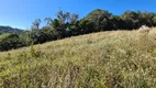 Foto 14 de Fazenda/Sítio à venda, 40000m² em , São Pedro de Alcântara