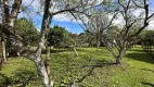 Foto 6 de Fazenda/Sítio à venda, 100m² em Borda do Campo, Piraquara