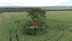 Foto 14 de Fazenda/Sítio com 2 Quartos à venda, 16000000m² em Nova Uberlandia, Uberlândia