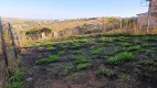 Foto 8 de Lote/Terreno à venda, 360m² em Sao Miguel, Matozinhos