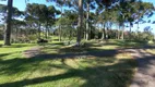 Foto 19 de Lote/Terreno à venda, 1600m² em , Garibaldi