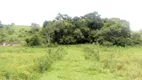 Foto 5 de Fazenda/Sítio à venda, 72600m² em Rural, Torre de Pedra