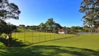 Foto 63 de Fazenda/Sítio com 3 Quartos à venda, 210m² em Colonia Marcelino, São José dos Pinhais