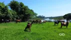 Foto 19 de Fazenda/Sítio à venda, 380000m² em Jaguari, Limeira