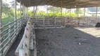 Foto 37 de Fazenda/Sítio com 4 Quartos à venda em Zona Rural, Bom Despacho