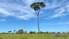 Foto 6 de Fazenda/Sítio à venda, 4791600m² em Centro, Presidente Epitácio