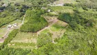 Foto 4 de Fazenda/Sítio à venda, 196800m² em Linha 28, Gramado