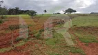 Foto 3 de Fazenda/Sítio com 3 Quartos à venda em Zona Rural, Buriti Alegre