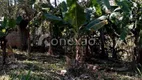 Foto 7 de Fazenda/Sítio com 3 Quartos à venda, 169400m² em Centro, Paraibuna