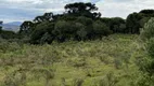 Foto 10 de Fazenda/Sítio à venda, 240000m² em Perico, São Joaquim